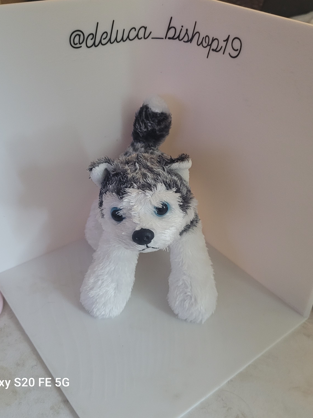 Aurora Mush Huskey Mini